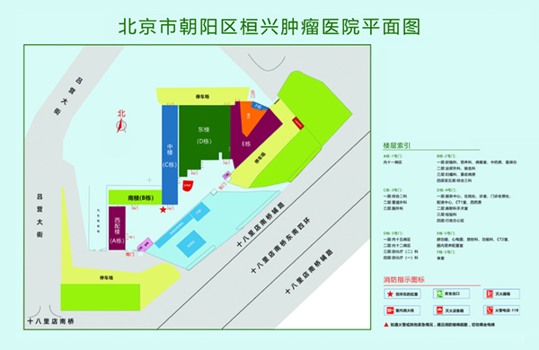 日本女操小b视频北京市朝阳区桓兴肿瘤医院平面图